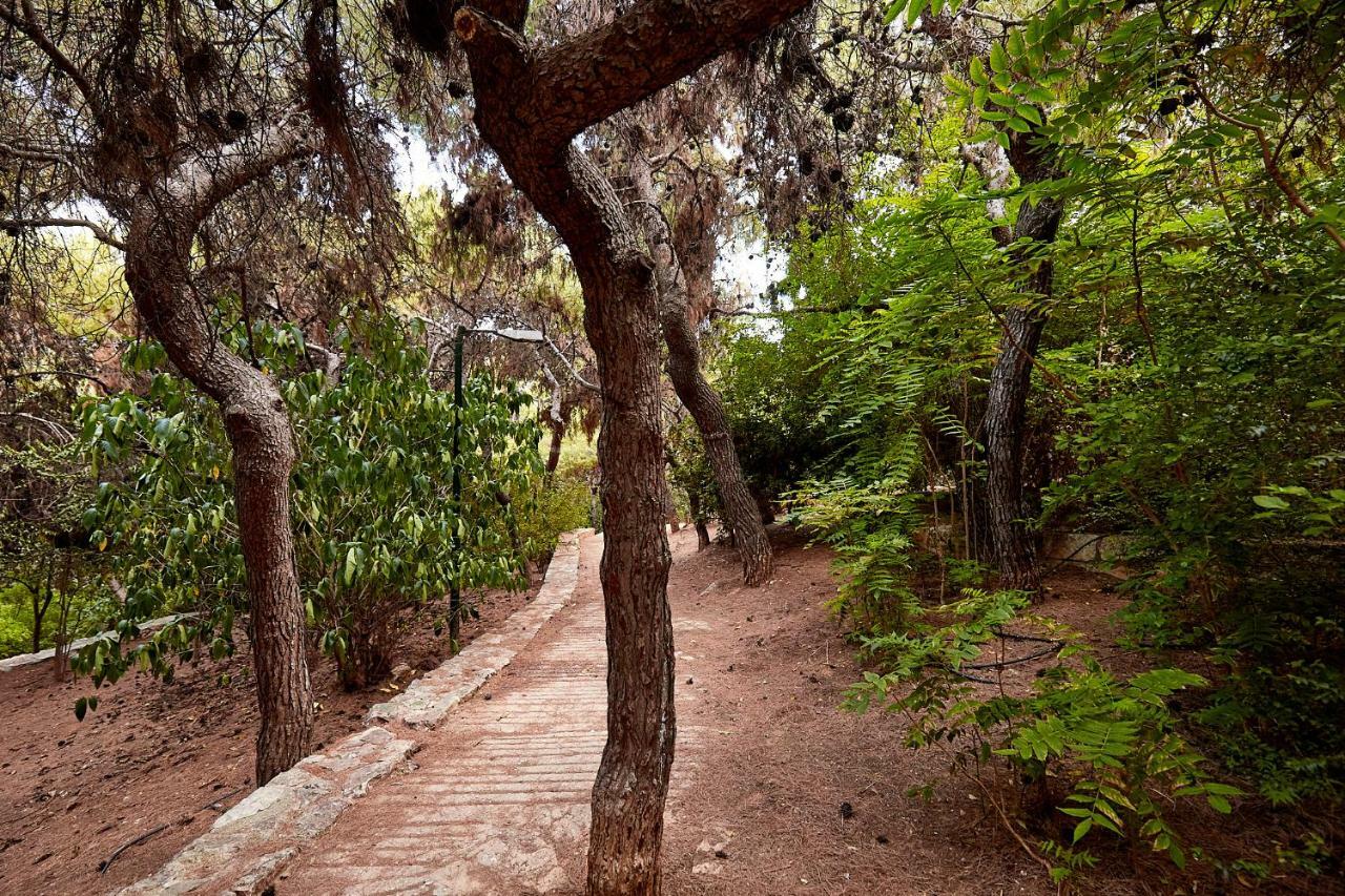 Myth2 - Hike Around Ancient Panathenaic Stadium Near Metro With View Of Big Park Apartment Екстериор снимка